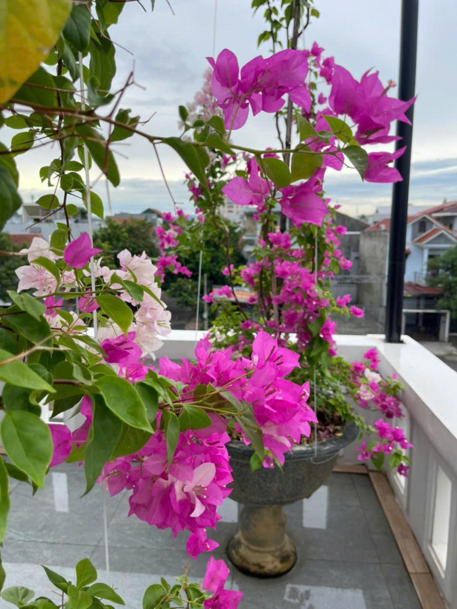 Nhat Long Homestay Hue Bagian luar foto