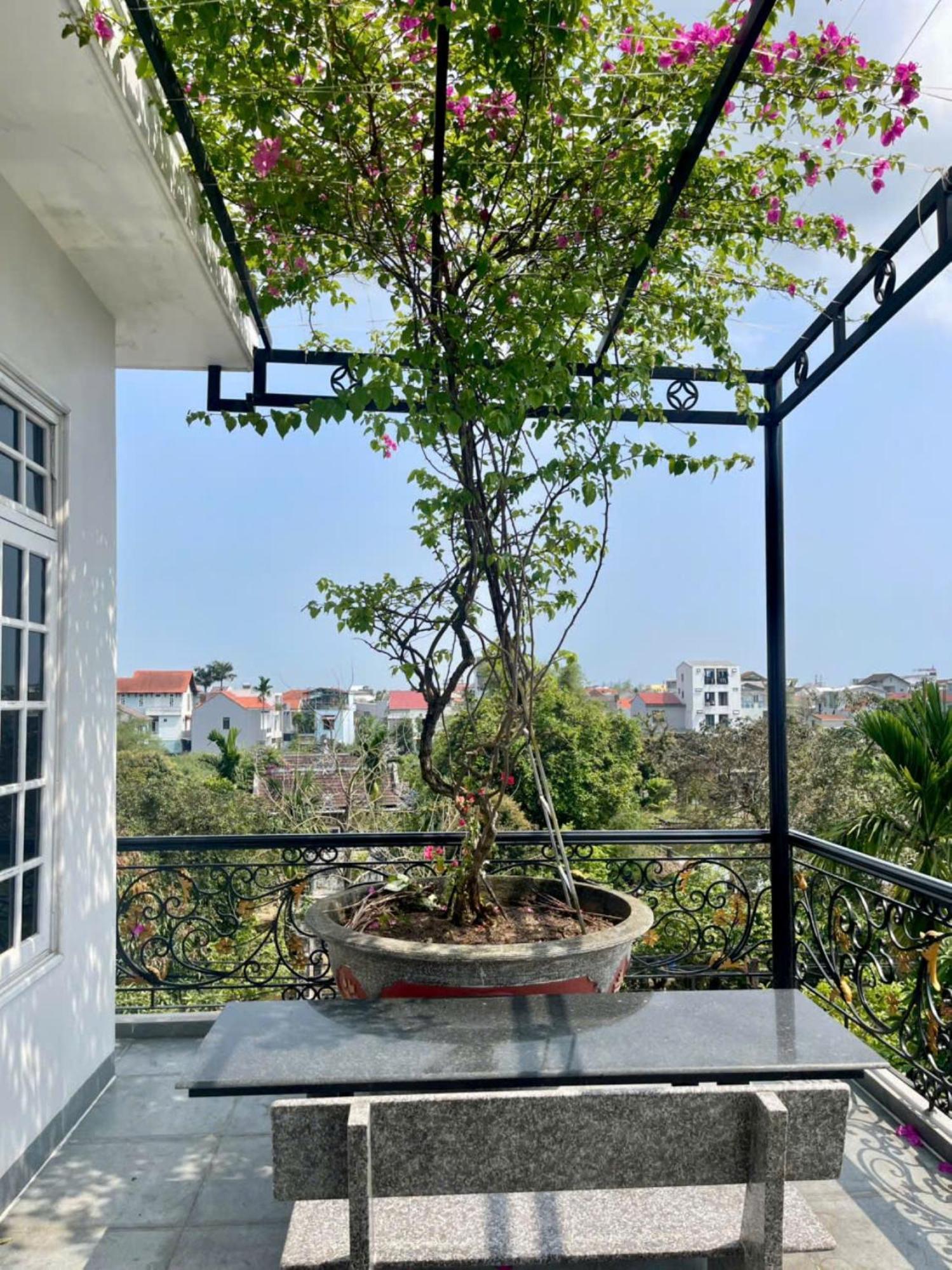Nhat Long Homestay Hue Bagian luar foto